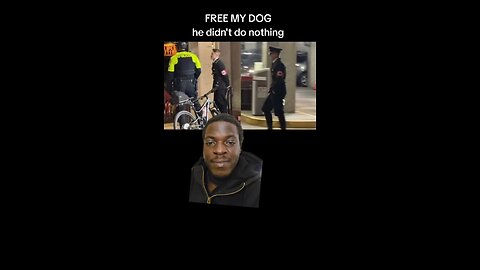 free my dog
