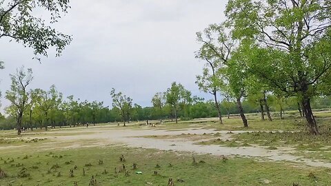 Guliakhali Beachside