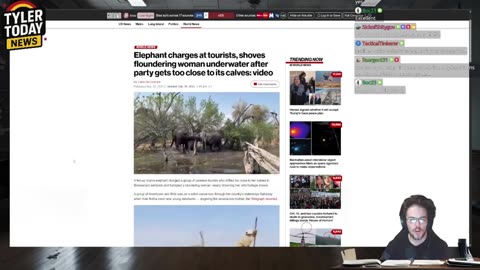 Elephant nearly takes out tourist group for getting too close