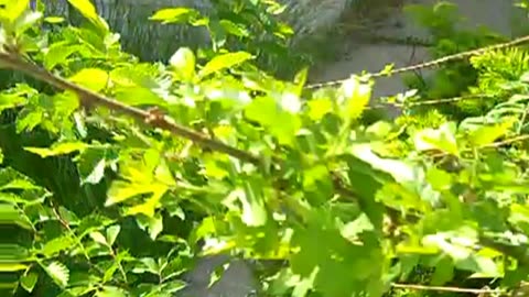 Hanging out at Leroy_s 10 unit cleaning the shea show