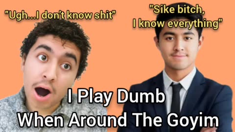 I Play Dumb With Goyim