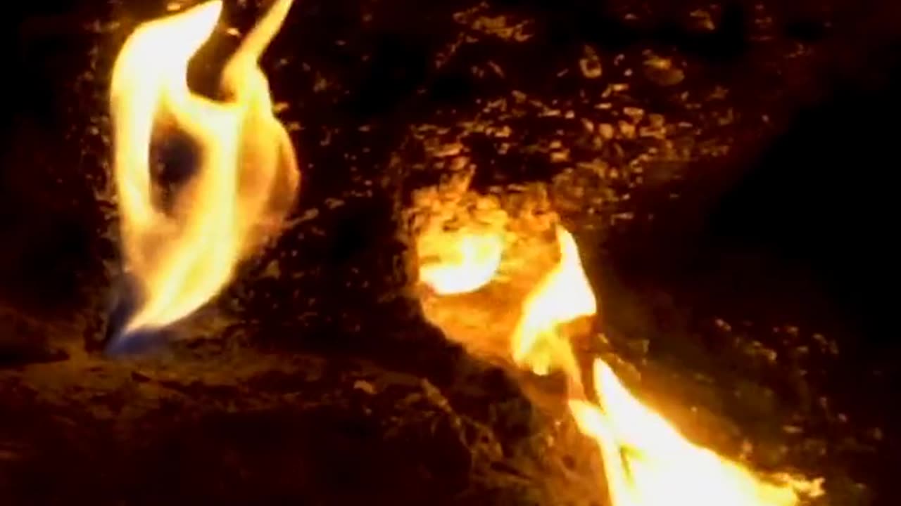 Daily Horoscope | Aries 🌟