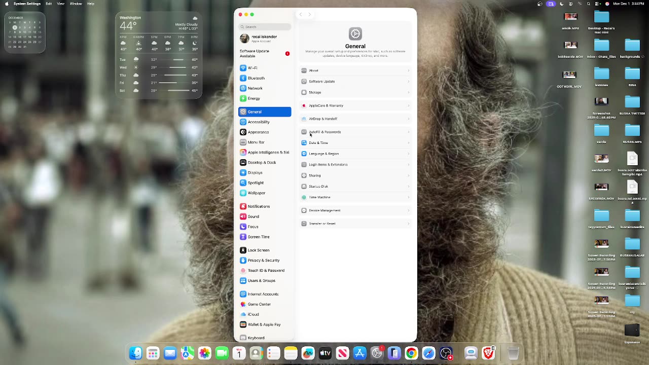 RECAI ISKENDER SUPER FOLLOSH SHOCK THERAPY