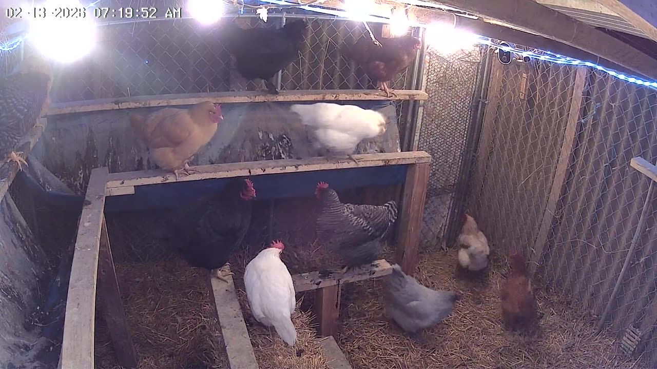 Friday Morning Wake Up!