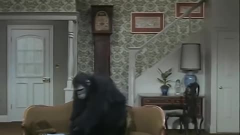 Lucy and the Monkey