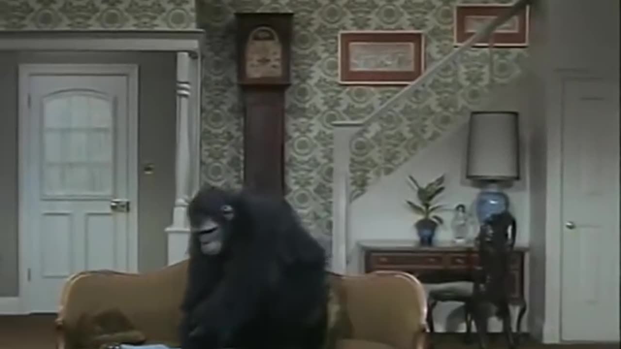 Lucy and the Monkey