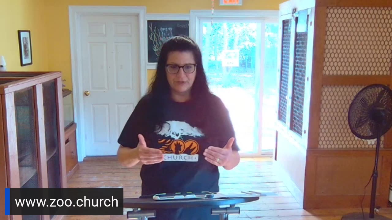 Jesus is the Main Thing