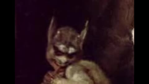 sleep paralysis