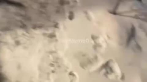 ⚠️ She tried to kill him in front of the entire neighborhood! ⚠️