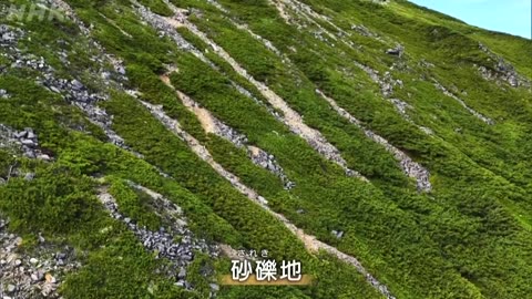 さわやか自然百景 後立山連峰爺ヶ岳