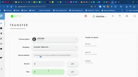 payeer fazendo saque e criando moeda virtual