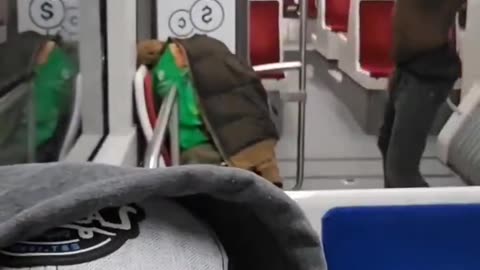 Diversity on public transportation