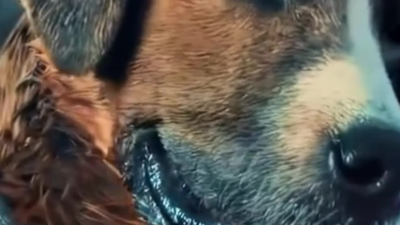 Movie trailer