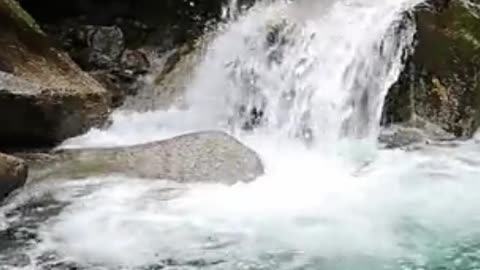 😊 186 CREE ANTES DE VER Juan 20:29 😊