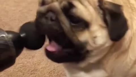 🤣 Funny and Cute
