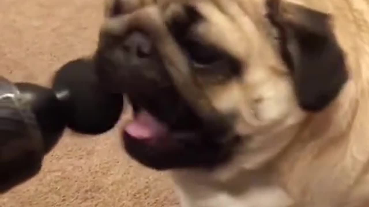 🤣 Funny and Cute