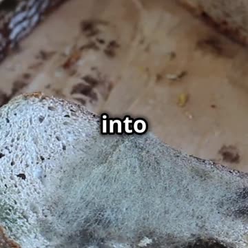 Don’t Let This Common Mistake Destroy Your Food Stockpile! 🚨