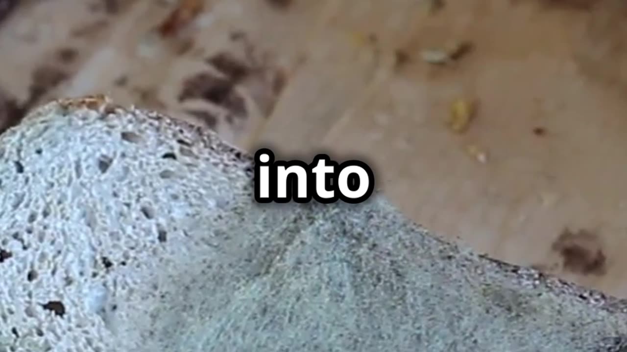 Don’t Let This Common Mistake Destroy Your Food Stockpile! 🚨