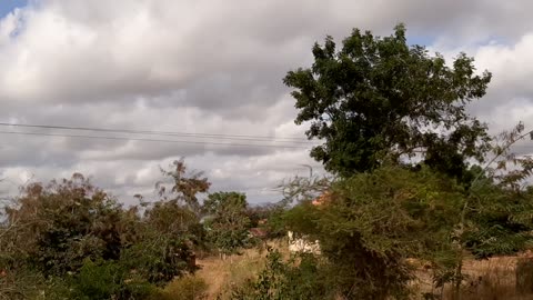 ROAD TRIP FOR 30+hrs CONTINUED. TRAVELING CROSS COUNTRY OF TANZANIA TO UGANDA VIA LUXURY COACH BUS.