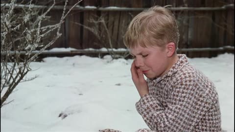 020. A Christmas Story (1983) - Ralphie Shoots His Eye Out Scene Movieclips