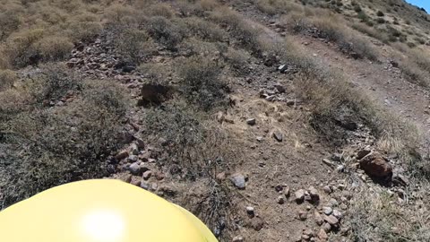 No Swooping in the Desert🐍☠️🌵👀