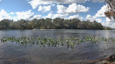 Riverview Time-Lapse: St. John’s Tranquil Tides (Jan 12, 2026)