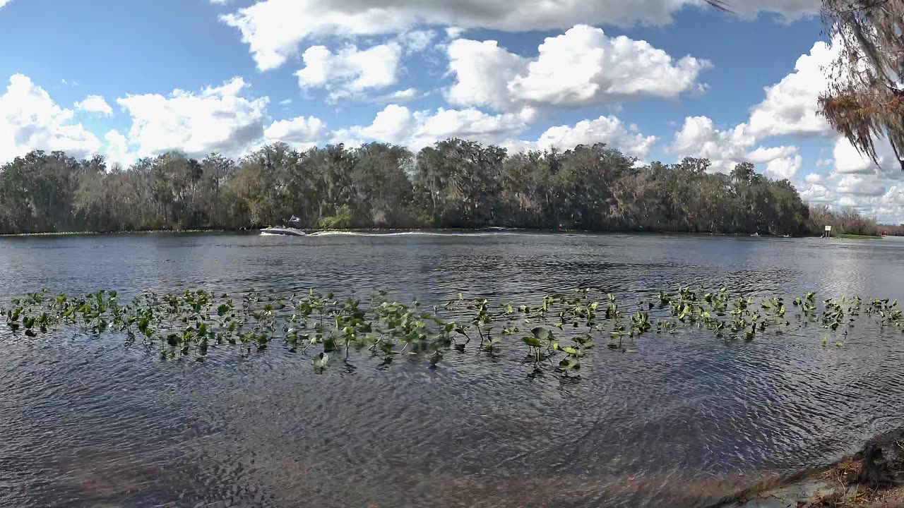 Riverview Time-Lapse: St. John’s Tranquil Tides (Jan 12, 2026)