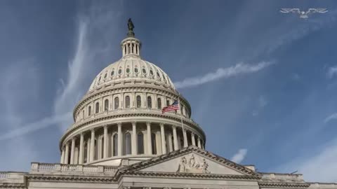 ICE swamped with 100,000 applications in two weeks 