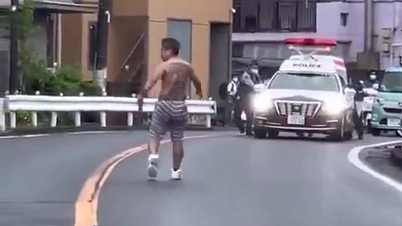 Excessive Police Force In Japan