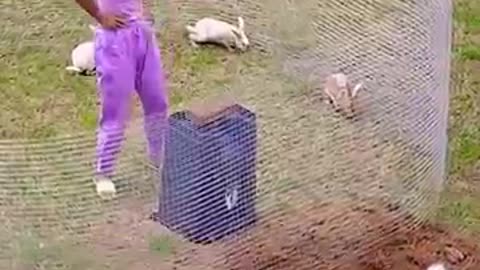 Must Watch: #funny #comedy #facts #new #trending #nice #animals #viral #youtubes