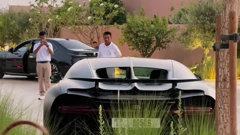 🌈💥 Colorful Luxury Cars! | LuxurySportsCars