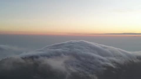 Daily Horoscope | Capricorn 🌟