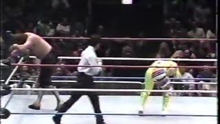 (1992.01.31) Jake Roberts vs Randy "Macho Man" Savage - WWF