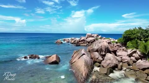 🌴 Best Tropical Deep House Vibes 2026 | Chill House & Relaxing Beats 🎶