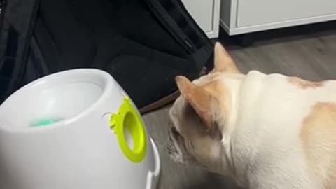 I don’t think that is how this game is played