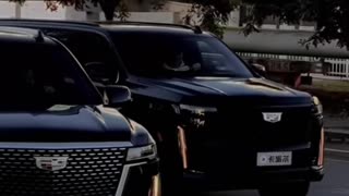 Golden Flow – the rhythm of calm energy.