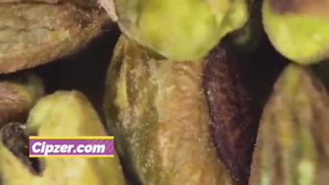 Pista के जबरदस्त फायदे 🌰✨❄️