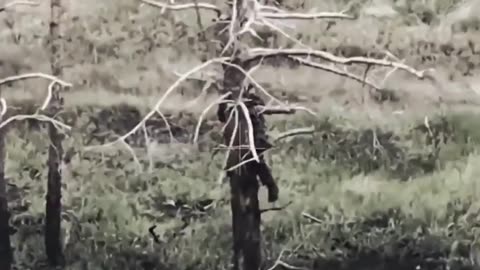 🌳💥 Ukraine Russia War | Russian Soldier Hit by Drone | RCF