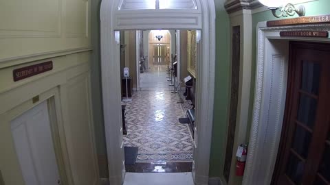 0310USCS03SenateGalleryEastnearS312_2021-01-06_15h00min01s383ms.mp4