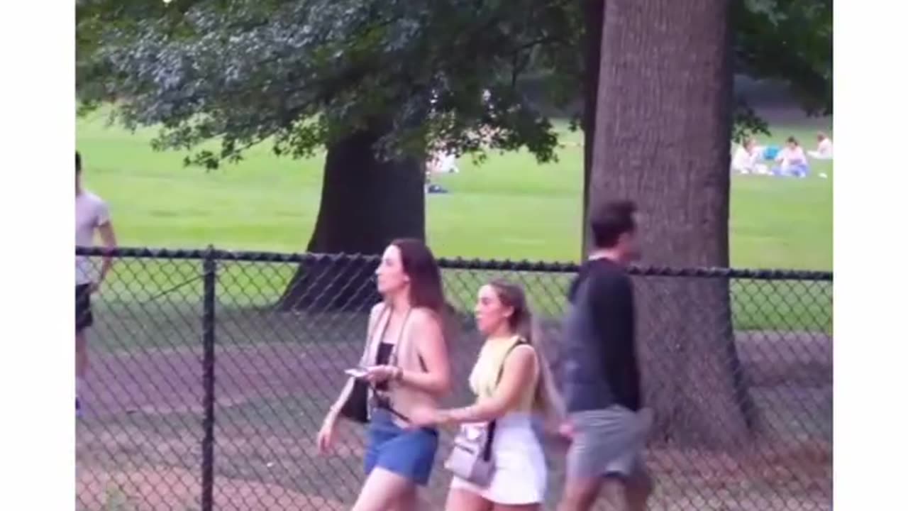 funniest clips