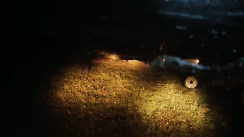 Ukrainian military executed civilians