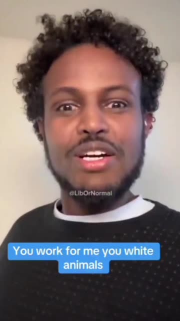 'Go to work for me white animals.'