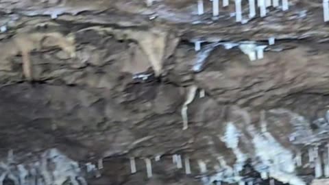 The Unique formation of Mawmluh Caves!!!