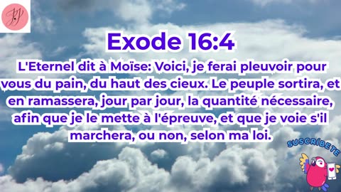 « La manne : Dieu pourvoit dans le désert » Exode 16:1-36#shortvideo #youtubeshorts #ytshorts #reels