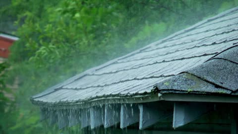 Rain Sounds for Deep Relaxation | Science of Calm & Nature Therapy 🌧️