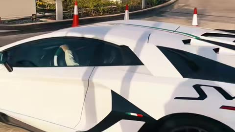 🚗💨 The Allure of Dubai's Luxury Car Culture! | LuxurySportsCars