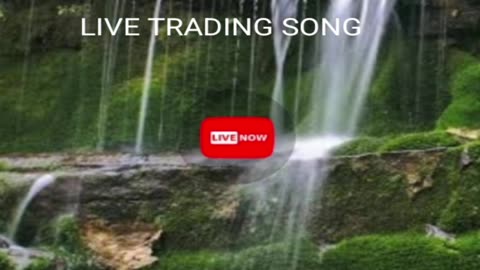 LIVE TRADING SONG