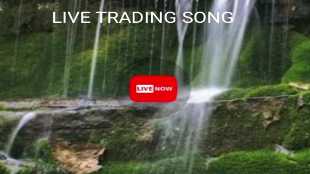 LIVE TRADING SONG