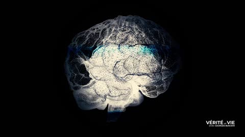 Canada : des organes prélevés sur des vivants ?