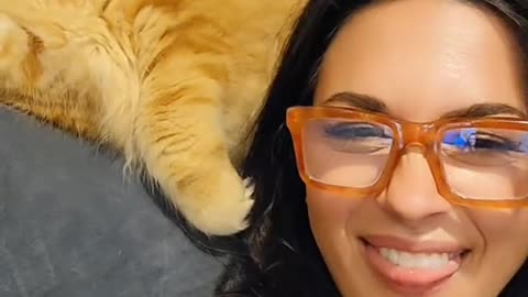 My 15.5 pound kitten